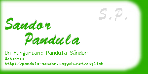 sandor pandula business card